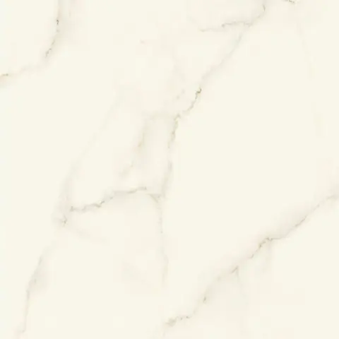 Marvel Calacatta Apuano120x120 Silk