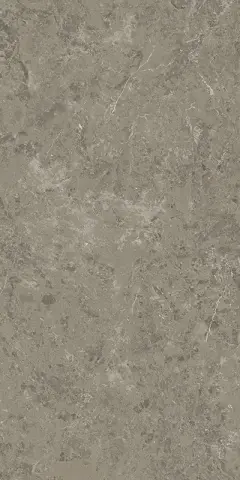 Marvel Meraviglia Grigio Elegante 60x120 Lapp.