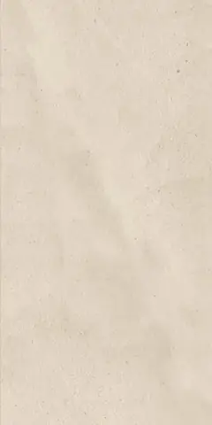ЭВЕРСТОУН МУН 60X120 РЕТ