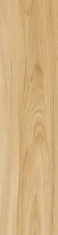 Мезон Шампэйн 30x120