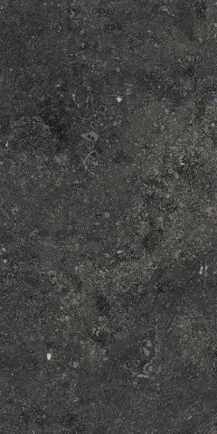 Рум Стоун Блэк 30x60 пат
