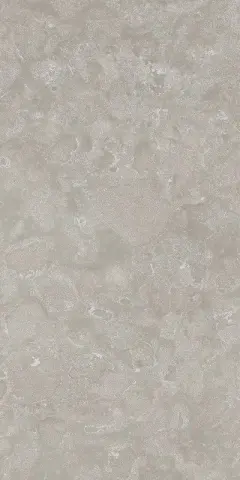 Вояджер Грэй 60x120 рет
