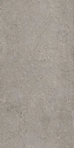 ДИСКАВЕР ГРЭЙ 60X120 РЕТ