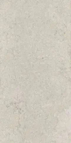 ДИСКАВЕР УАЙТ 60X120 РЕТ