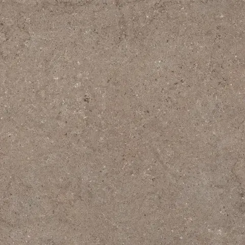 Дискавер Дезерт рет 60x60