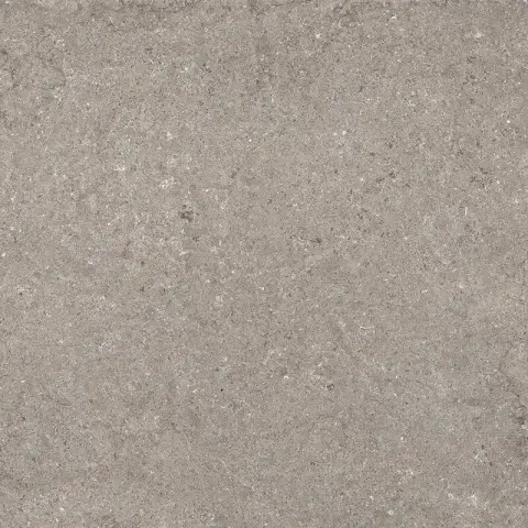 Дискавер Грэй рет 60x60
