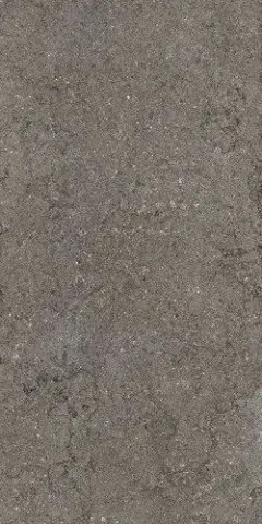 ДИСКАВЕР ФУМЭ 60X120 РЕТ