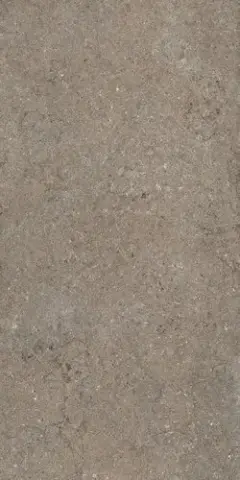 ДИСКАВЕР ДЕЗЕРТ 60X120 РЕТ