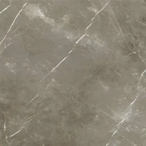 СТЕ.ТУС.ГРЭЙ 120X120 РЕТ