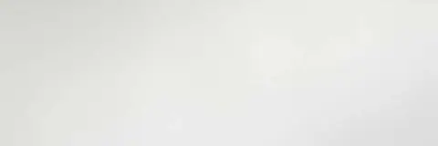 Laminam Filo Brina 300x100 3.5 мм