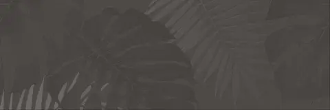 Coliseumgres Lifestyle Мока Вставка Джангл