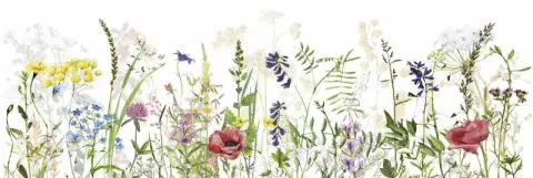 Flora bloom 20х60