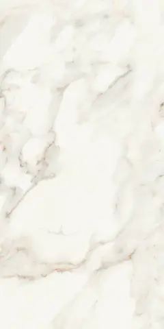 Calacatta Polished 60х120