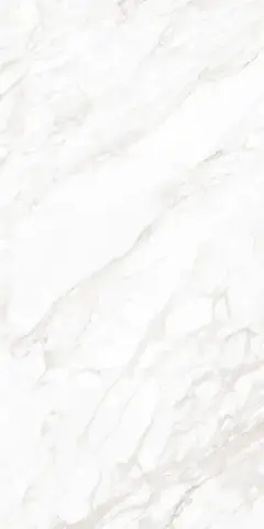 Dolomiti Polished GL 60х120