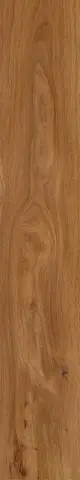 Forest Amber 19,4х120 непол.
