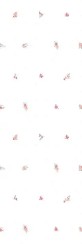Aurora 20х60