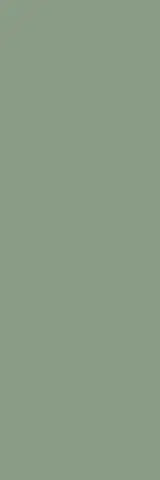 Ekzotic olive 30х90