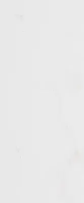 Forza Calacatta White Wall 01 25х60
