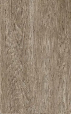 Misty wood 25х40