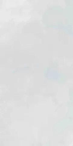 Mon Cloudy Garden 30х60