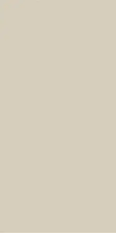 Palette Skin 30х60