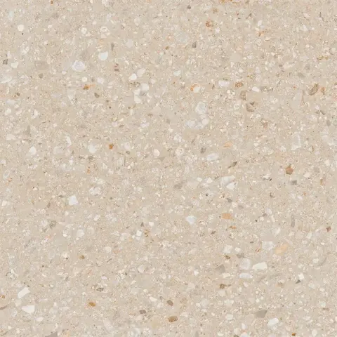 AG22 Aglomerat натуральная 60x60 бежевый