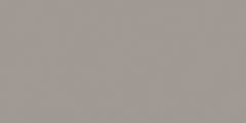 RW03 Rainbow натуральная 60x120 серый
