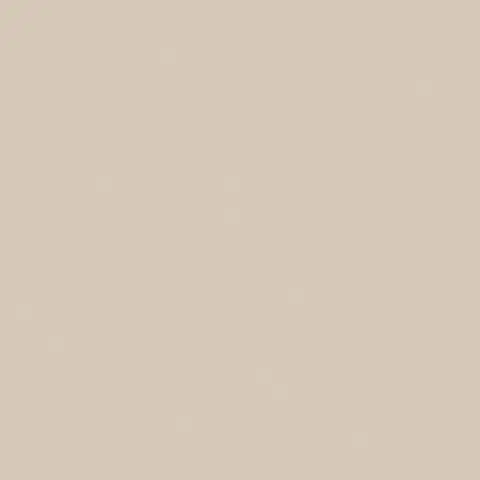 RW01 Rainbow натуральная 60x60 бежевый