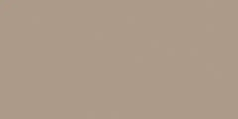 RW041 Rainbow натуральная 60x120 коричневый