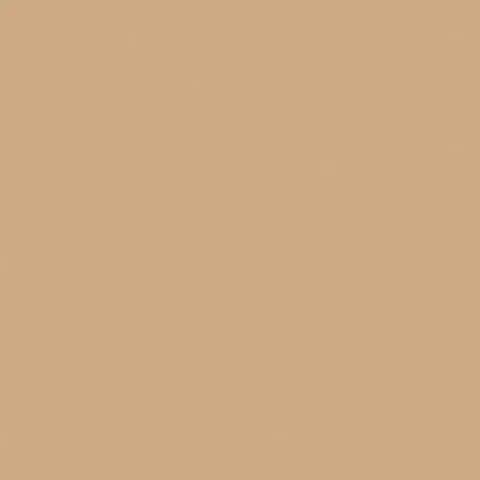 RW15 Rainbow натуральная 60x60 бежевый