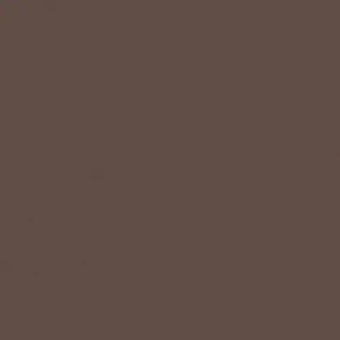 RW04 Rainbow натуральная 60x60 коричневый