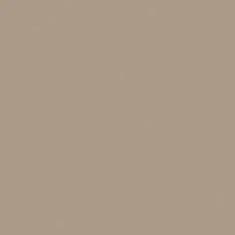 RW041 Rainbow натуральная 60x60 коричневый