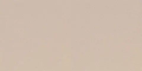 ST17 Standard натуральная 60x120 бежевый