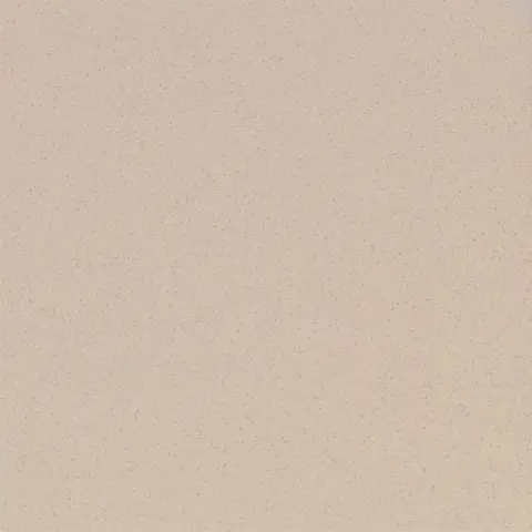 ST17 Standard натуральная 60x60 бежевый