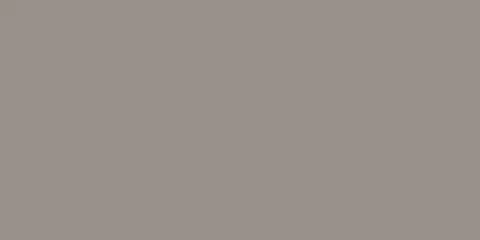 YC54 YourColor натуральная 60x120 серый