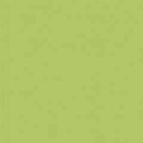 YC93 YourColor натуральная 60x60 зеленый