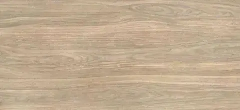 Vitra Wood-X Орех Голд Терра Матовый R10A Ректификат 120x60