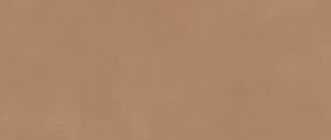 Boost Expression Sienna 50x120