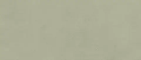 Boost Expression Olive 50x120