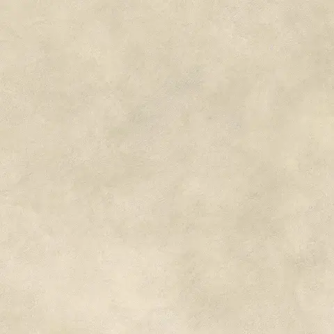 Boost Expression Camel 80x80