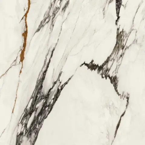 PAONAZZO BIONDO SILK PV6 120X120(A)