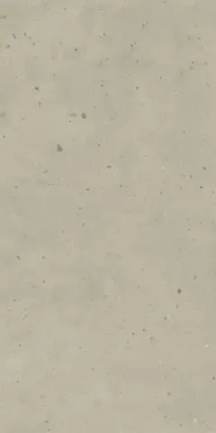 АВА.ДАСТ 60X120 РЕТ