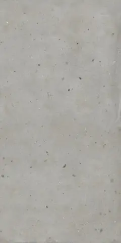 АВА.СИЛЬВЕР 60X120 РЕТ