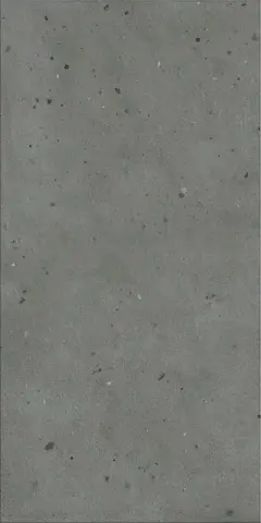 Авангард Блэк 60x120 рет. Х2