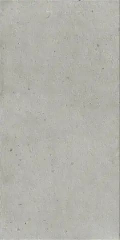 Авангард Сильвер 60x120 рет. Х2