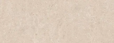 CORAL CALIZA 45X120(A)