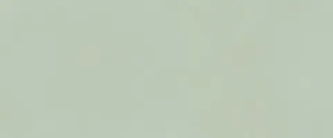 TRUE COLOR 50X120 MATCHA MATT