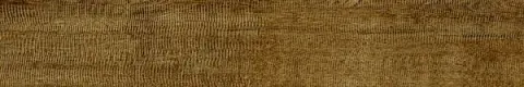 Alaska Alder