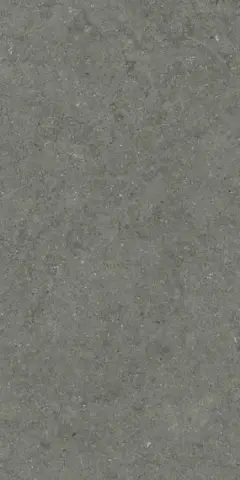 ФОРУМ СТОУН АЙРОН 60X120