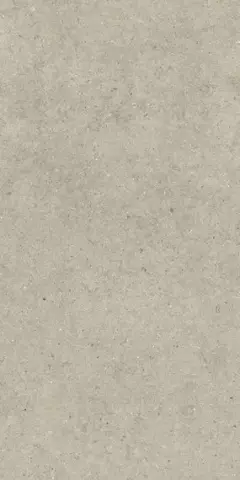 ФОРУМ СТОУН ДЕЗЕРТ 60X120
